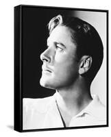 Errol Flynn-null-Framed Stretched Canvas