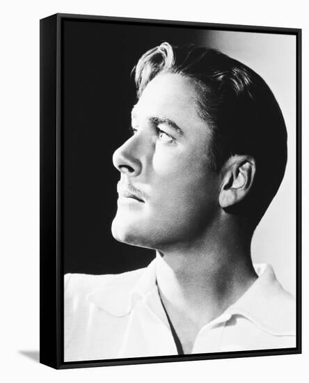 Errol Flynn-null-Framed Stretched Canvas