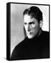 Errol Flynn-null-Framed Stretched Canvas