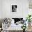 Errol Flynn-null-Framed Photographic Print displayed on a wall
