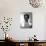 Errol Flynn-null-Photographic Print displayed on a wall