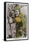 Erroll Flynn in "The Adventures of Robin Hood" 1938-null-Framed Stretched Canvas