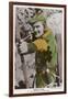 Erroll Flynn in "The Adventures of Robin Hood" 1938-null-Framed Art Print