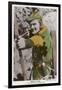 Erroll Flynn in "The Adventures of Robin Hood" 1938-null-Framed Art Print