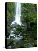 Erskine Falls, Waterfall in the Rainforest, Great Ocean Road, South Australia, Australia-Thorsten Milse-Stretched Canvas