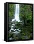 Erskine Falls, Waterfall in the Rainforest, Great Ocean Road, South Australia, Australia-Thorsten Milse-Framed Stretched Canvas