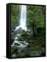 Erskine Falls, Waterfall in the Rainforest, Great Ocean Road, South Australia, Australia-Thorsten Milse-Framed Stretched Canvas