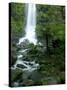 Erskine Falls, Waterfall in the Rainforest, Great Ocean Road, South Australia, Australia-Thorsten Milse-Stretched Canvas