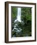 Erskine Falls, Waterfall in the Rainforest, Great Ocean Road, South Australia, Australia-Thorsten Milse-Framed Photographic Print