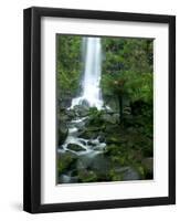 Erskine Falls, Waterfall in the Rainforest, Great Ocean Road, South Australia, Australia-Thorsten Milse-Framed Photographic Print