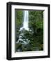 Erskine Falls, Waterfall in the Rainforest, Great Ocean Road, South Australia, Australia-Thorsten Milse-Framed Photographic Print