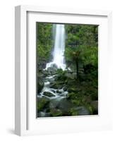 Erskine Falls, Waterfall in the Rainforest, Great Ocean Road, South Australia, Australia-Thorsten Milse-Framed Photographic Print