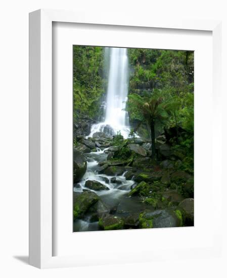 Erskine Falls, Waterfall in the Rainforest, Great Ocean Road, South Australia, Australia-Thorsten Milse-Framed Photographic Print