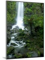 Erskine Falls, Waterfall in the Rainforest, Great Ocean Road, South Australia, Australia-Thorsten Milse-Mounted Photographic Print