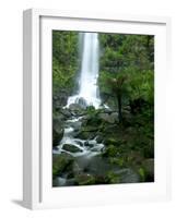 Erskine Falls, Waterfall in the Rainforest, Great Ocean Road, South Australia, Australia-Thorsten Milse-Framed Photographic Print