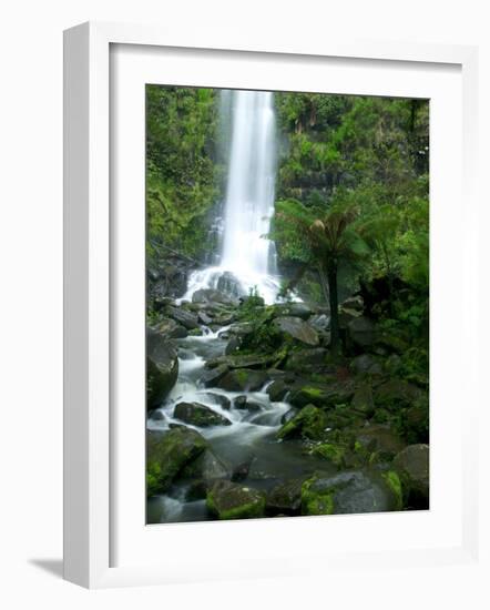 Erskine Falls, Waterfall in the Rainforest, Great Ocean Road, South Australia, Australia-Thorsten Milse-Framed Photographic Print