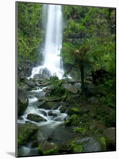 Erskine Falls, Waterfall in the Rainforest, Great Ocean Road, South Australia, Australia-Thorsten Milse-Mounted Photographic Print