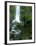 Erskine Falls, Waterfall in the Rainforest, Great Ocean Road, South Australia, Australia-Thorsten Milse-Framed Photographic Print