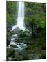 Erskine Falls, Waterfall in the Rainforest, Great Ocean Road, South Australia, Australia-Thorsten Milse-Mounted Photographic Print