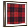 Erskine Tartan-null-Framed Photographic Print