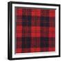 Erskine Tartan-null-Framed Photographic Print