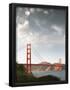 Essential Black