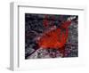 Erta Ale Fountaining Lava Lake, Danakil Depression, Ethiopia-null-Framed Photographic Print