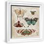 White Frame