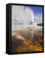 Eruption of Castle Geyser, Upper Geyser Basin, Yellowstone National Park, Wyoming, USA-Neale Clarke-Framed Stretched Canvas