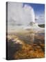 Eruption of Castle Geyser, Upper Geyser Basin, Yellowstone National Park, Wyoming, USA-Neale Clarke-Stretched Canvas