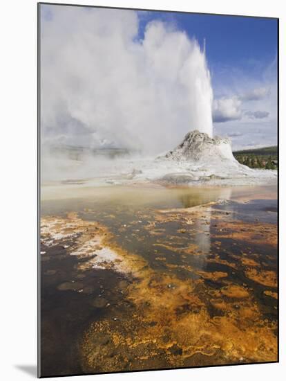 Eruption of Castle Geyser, Upper Geyser Basin, Yellowstone National Park, Wyoming, USA-Neale Clarke-Mounted Photographic Print