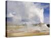 Eruption of Castle, Upper Geyser Basin, Yellowstone National Park, Wyoming, USA-Neale Clarke-Stretched Canvas