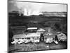 Eruption of Kilauea Near Kapoho Plantation-null-Mounted Photographic Print