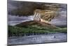 Eruption of Mauna Loa, Hawaii, Viewed from the Sea, 1870s-null-Mounted Giclee Print