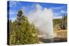 Eruption of Riverside Geyser, Firehole River, Upper Geyser Basin-Eleanor Scriven-Stretched Canvas