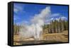 Eruption of Riverside Geyser, Firehole River, Upper Geyser Basin-Eleanor Scriven-Framed Stretched Canvas