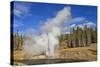 Eruption of Riverside Geyser, Firehole River, Upper Geyser Basin-Eleanor Scriven-Stretched Canvas