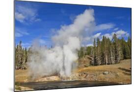 Eruption of Riverside Geyser, Firehole River, Upper Geyser Basin-Eleanor Scriven-Mounted Photographic Print