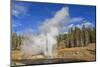 Eruption of Riverside Geyser, Firehole River, Upper Geyser Basin-Eleanor Scriven-Mounted Photographic Print