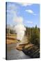 Eruption of Riverside Geyser Seen from Firehole River Bridge-Eleanor Scriven-Stretched Canvas