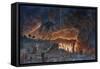 Eruption of Vesuvius, 1776-null-Framed Stretched Canvas