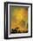 Eruption of Vesuvius-Pierre-Jacques Volaire-Framed Giclee Print