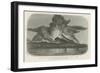 Eruption of Vesuvius-null-Framed Giclee Print