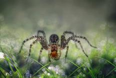 I Am Back to You-Erwin Astro-Framed Photographic Print