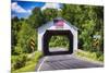 Erwinna Covered Bridge, Pennsylvania-George Oze-Mounted Photographic Print