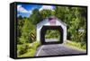 Erwinna Covered Bridge, Pennsylvania-George Oze-Framed Stretched Canvas