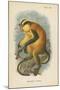 Erxleben's Guenon-null-Mounted Giclee Print