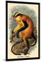 Erxleben's Guenon-G.r. Waterhouse-Mounted Art Print