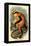 Erxleben's Guenon-G.r. Waterhouse-Framed Stretched Canvas