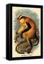 Erxleben's Guenon-G.r. Waterhouse-Framed Stretched Canvas